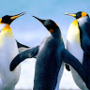 Meet your Posher, Eva